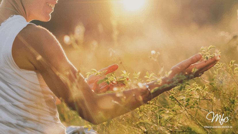 Mindfulness för reumatiker - kom, lär och prova på!  